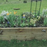 Raised bed near Meeting Place